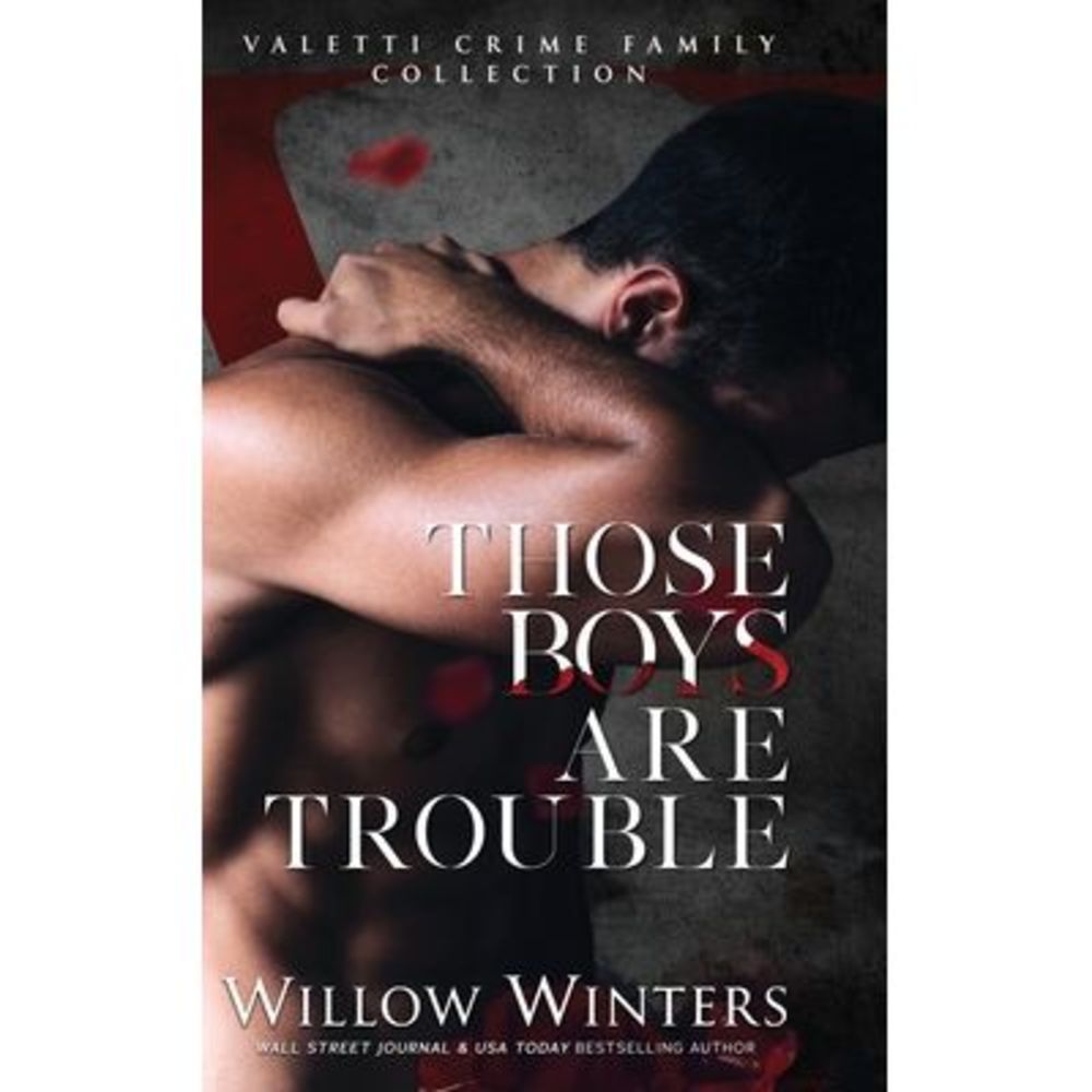 Those Boys Are Trouble -- Willow Winters